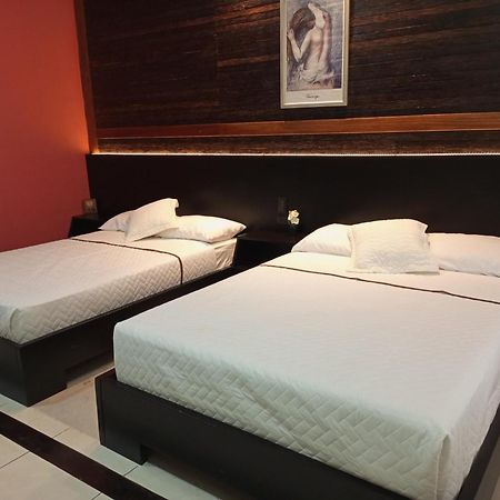 Terra Luna Lodge Tena Kültér fotó