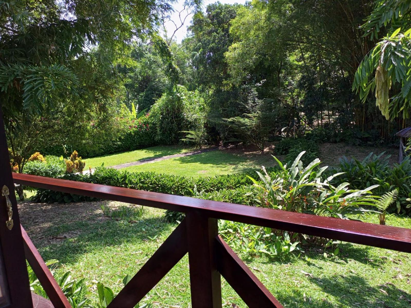 Terra Luna Lodge Tena Kültér fotó