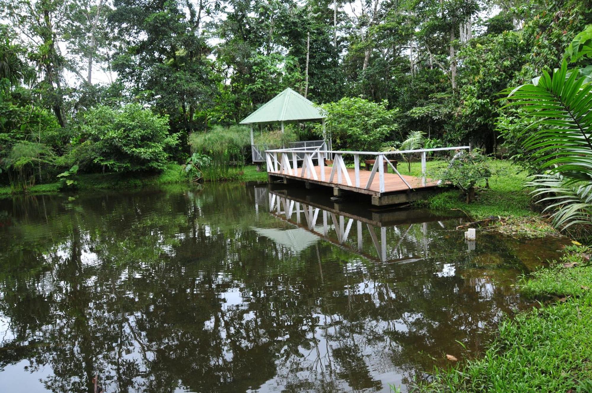 Terra Luna Lodge Tena Kültér fotó